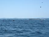 2008 Lake Champlain 10